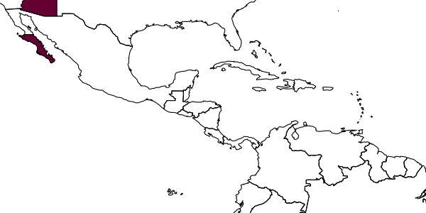 map of Tachardiobius nigricans     Timberlake, 1926